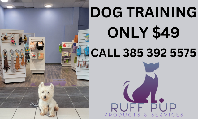 Dog Training at Ruff Pup icon