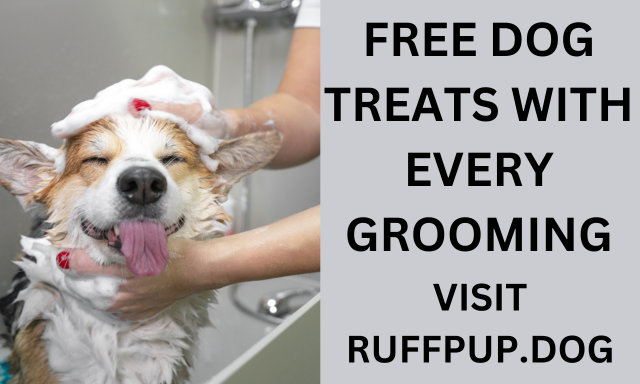 Dog Grooming at Ruff Pup icon