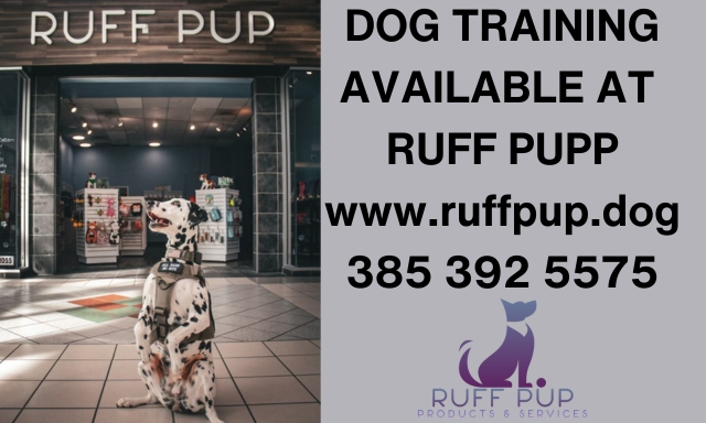 Dog Training, Grooming, &amp; Products icon