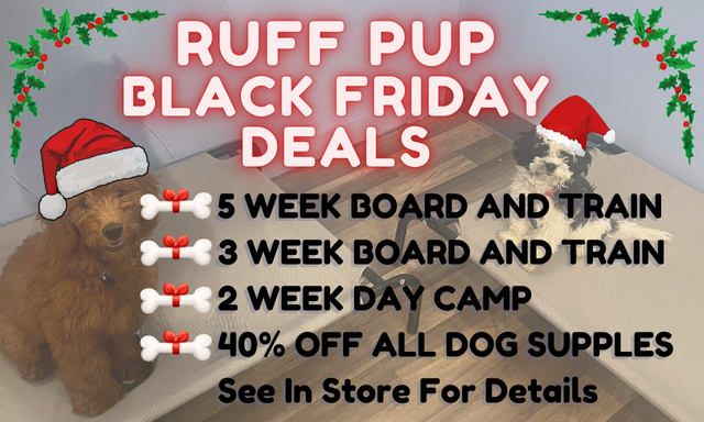 Ruff Pup Pet Products icon